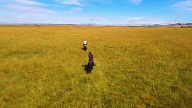 4K航拍若尔盖草原上骑马奔跑视频的预览图